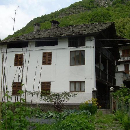 Le Mie Radici Bed & Breakfast Скопело Екстериор снимка